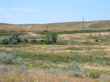 siteoftheoldhouse.jpg